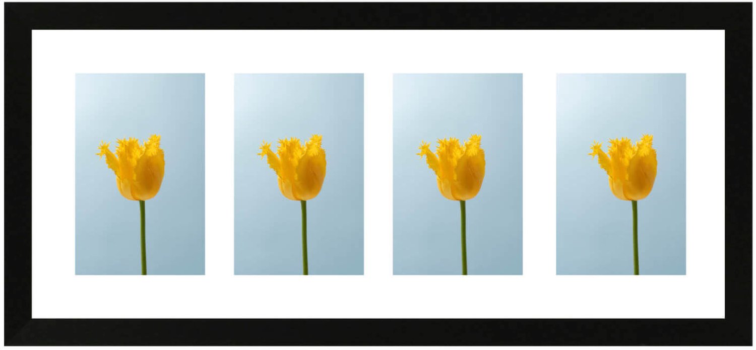 SecaDesign Anima Vierluik Fotolijst - Fotomaat 10x15 cm - Zwart