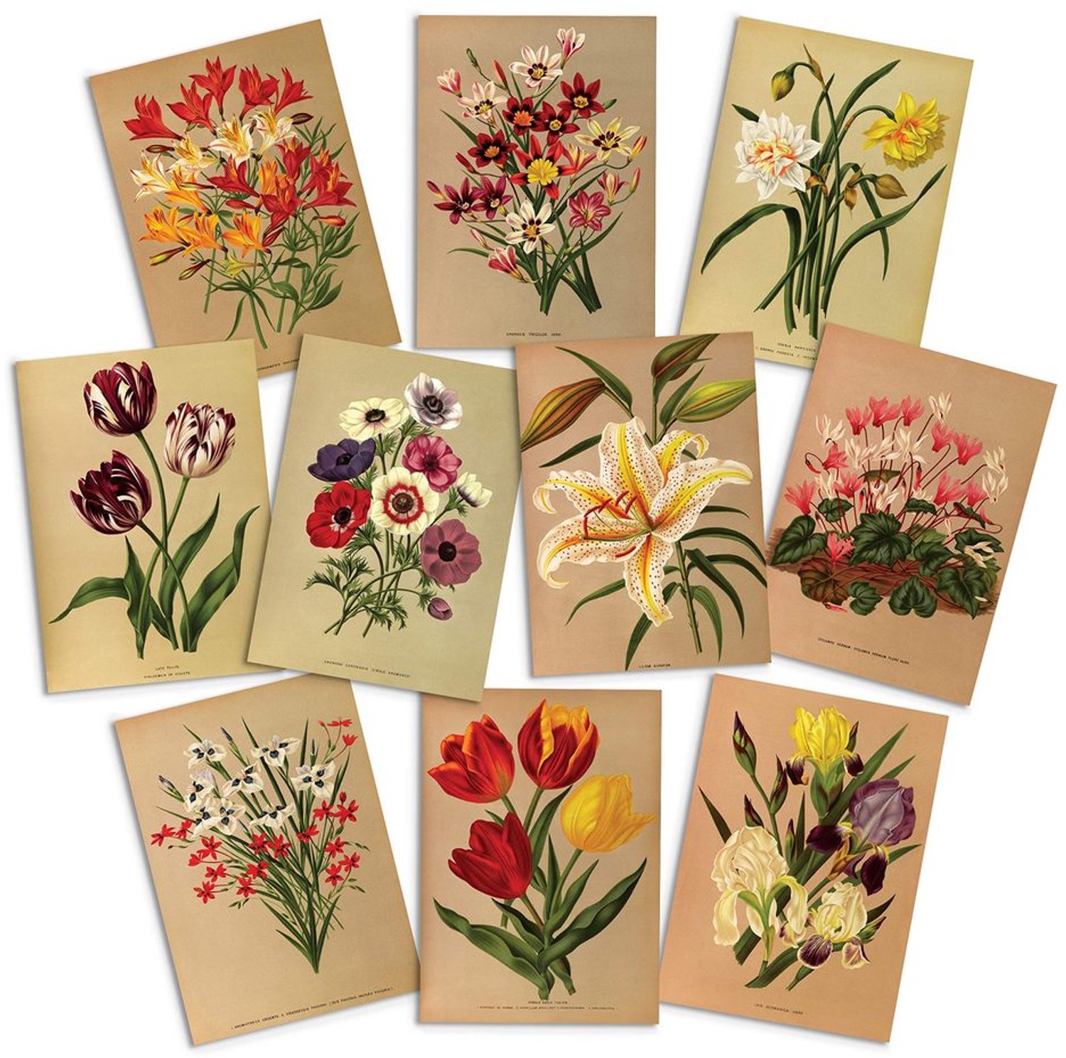 Wenskaarten Set van 10 - Botanische Kunst met Enveloppen