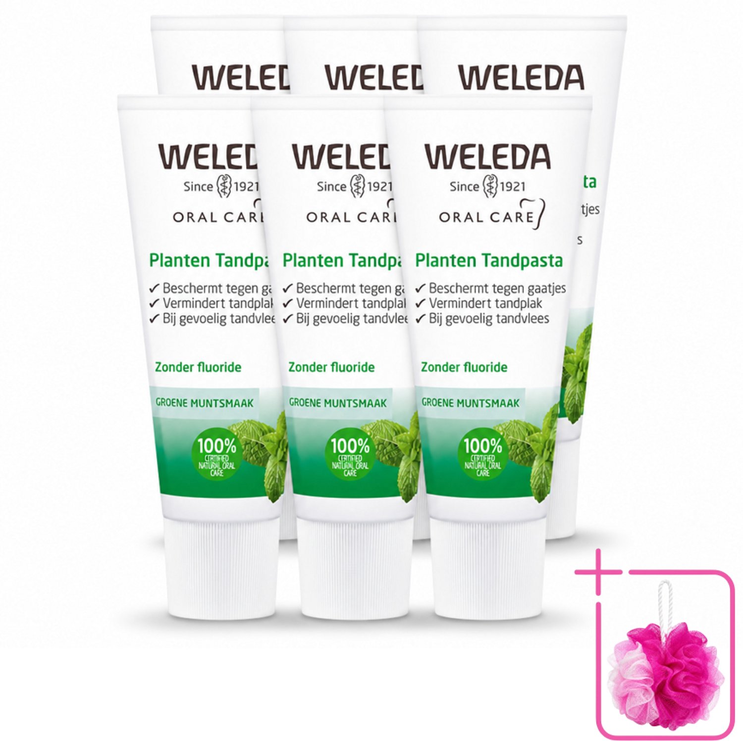 6 x WELEDA - Planten tandpasta - 75 ml - Bulkverpakking - Natuurlijke tandpasta - Douchemop - Tandvlees kalmeren