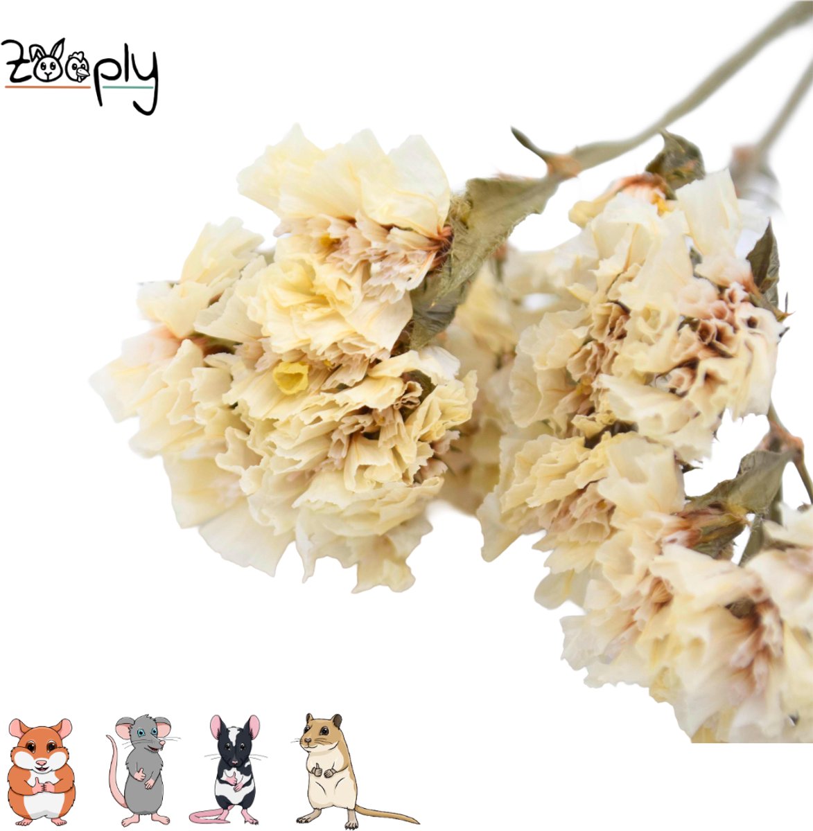 Zooply Strandlavendel - Wit - 70 gram - in koker