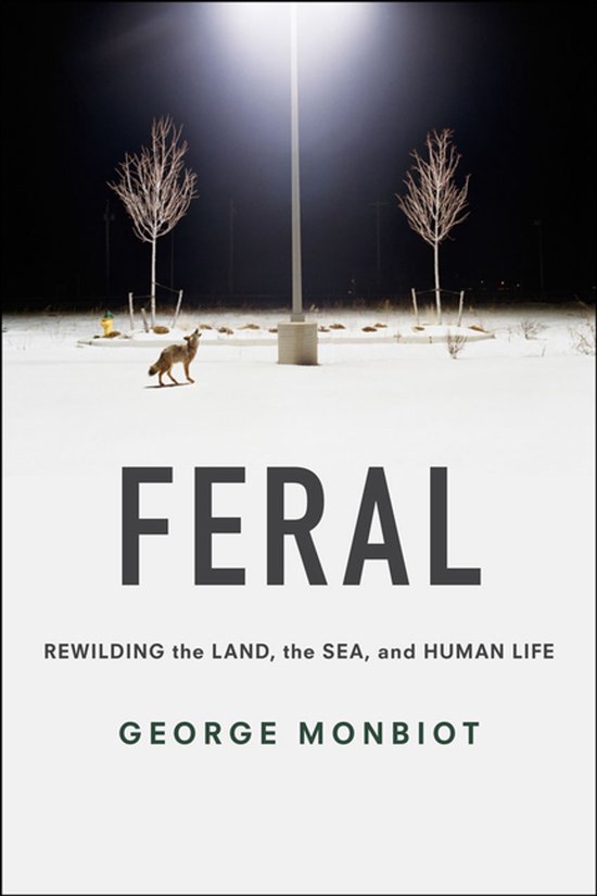 Couverture de livre avec le titre 'FERAL' en gros caractères. Un renard se tient dans la neige sous un lampadaire entre deux arbres dénudés.