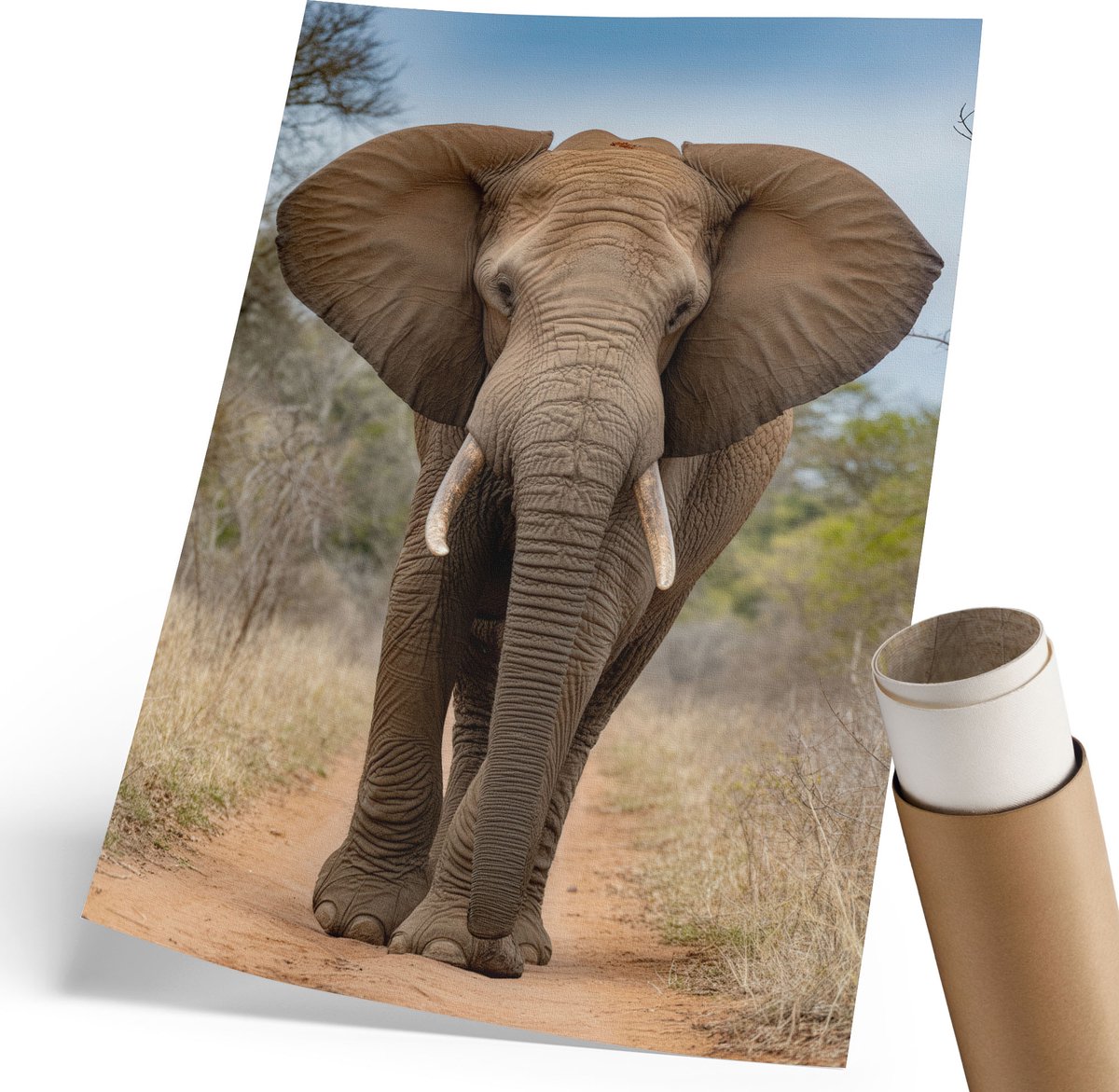 Coloray Polycanvas Wandposter - De Olifant En De Majesteit, Fotografie - 210 x 297 mm - Bruin Decoratie - Rechthoek - Wandkunstwerk - Woonkamer, Slaapkamer, Kantoor - Klassiek