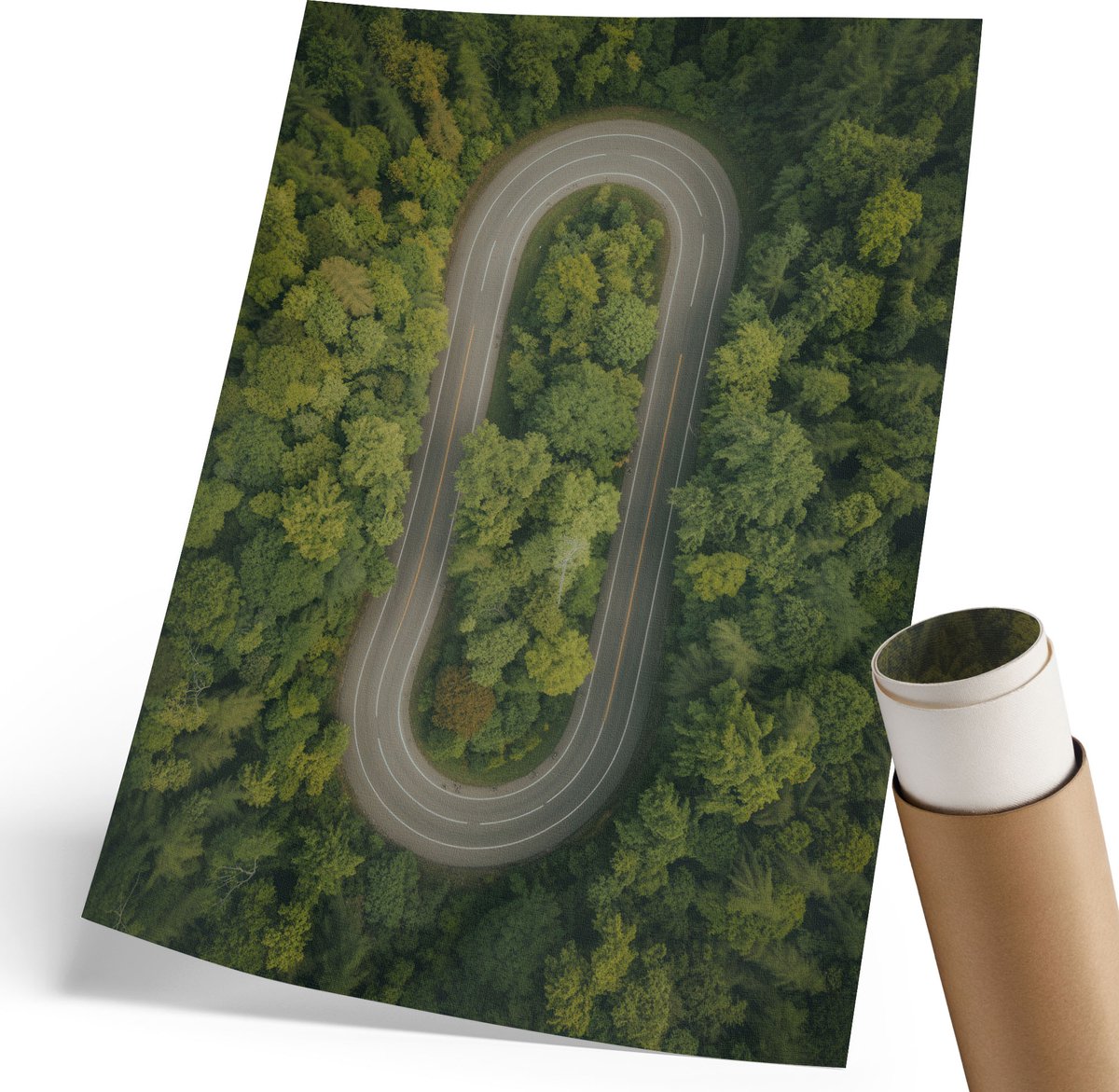 Coloray Polycanvas Wandposter - Bosavontuur, Fotografie - 210 x 297 mm - Groen Kunst - Rechthoek - Wandkunstwerk - Woonkamer, Slaapkamer, Kantoor - Klassiek