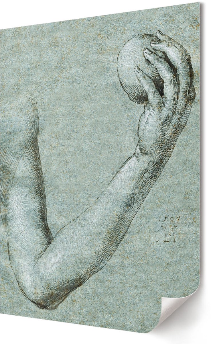 Coloray Polycanvas Wandposter - Eva'S Arm, Illustratie - 420 x 594 - Grijs Poster - Rechthoek - Muurkunst - Woonkamer, Slaapkamer, Kantoor - Klassiek
