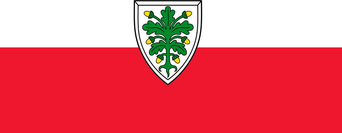 Vlag Aichach 200x300cm