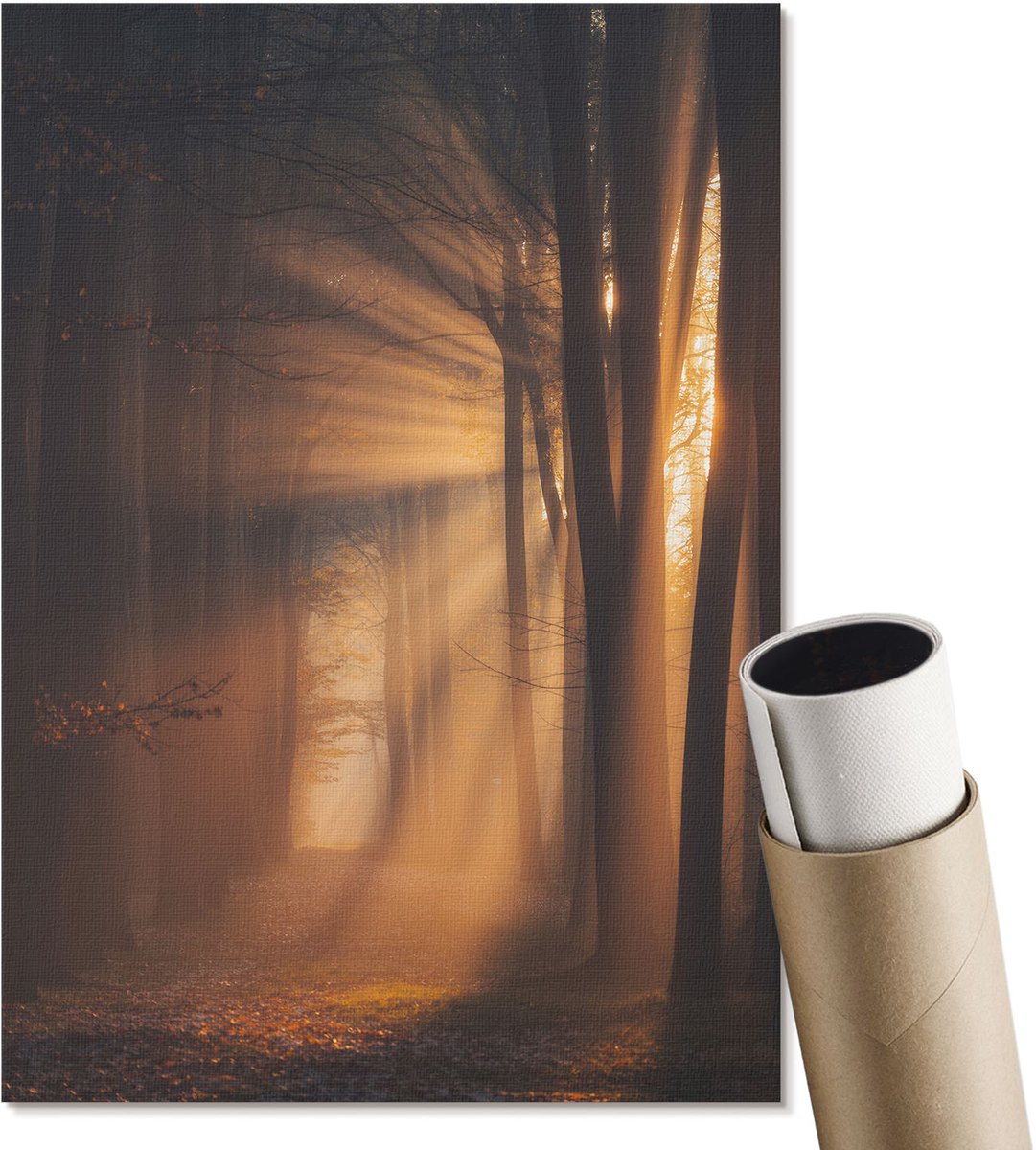 Coloray Polycanvas Poster - Bosochtend, Fotografie - A4 - Bruin Wandposter - Rechthoek - Muurdecoratie - Woonkamer, Slaapkamer, Kantoor - Klassiek