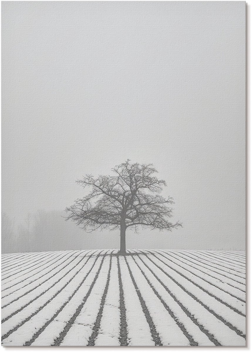 Tulup Polycanvas Poster - Winterlandschap, Fotografie - A4 - Zwart-wit Illustratie - Rechthoek - Muurdecoratie - Woonkamer, Slaapkamer, Kantoor - Klassiek