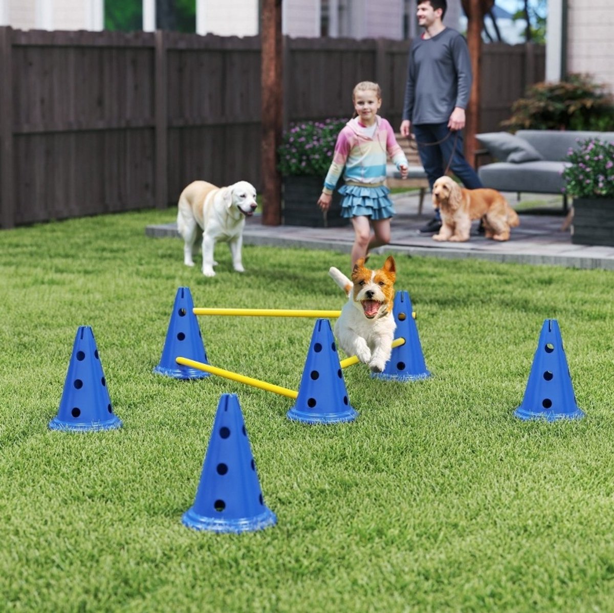 MODFU - Hond Agility Set - Horde - Verstelbare Hoogte - Blauw