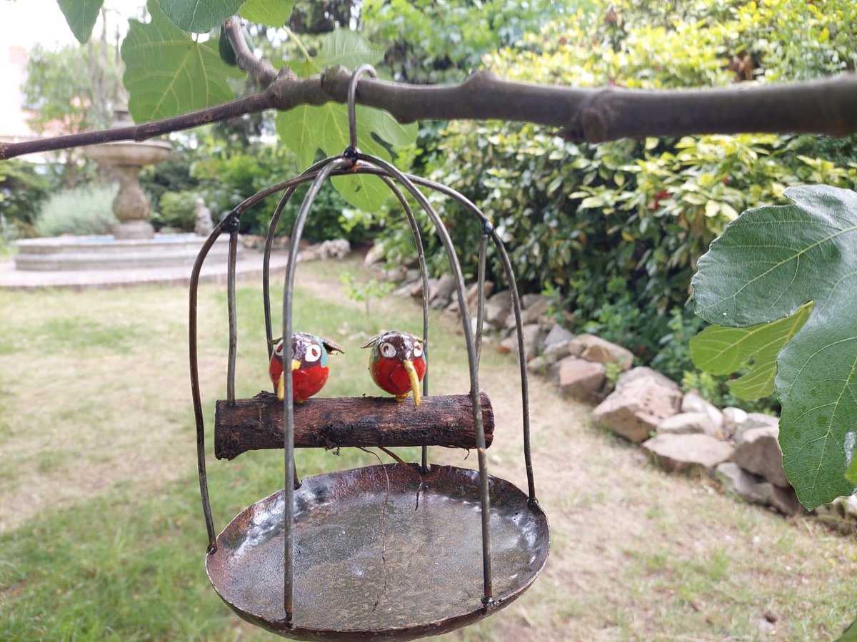 Floz Design tuindecoratie vogelkooi met vogeltjes - gerecycled metaal - fairtrade uit Zimbabwe - diverse vogelsoorten - 20x25 cm