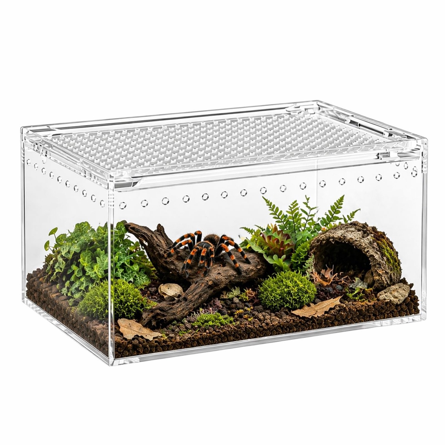 Mini Terrarium met 360° Panoramisch Uitzicht - Perfect voor Reptielen en Insecten