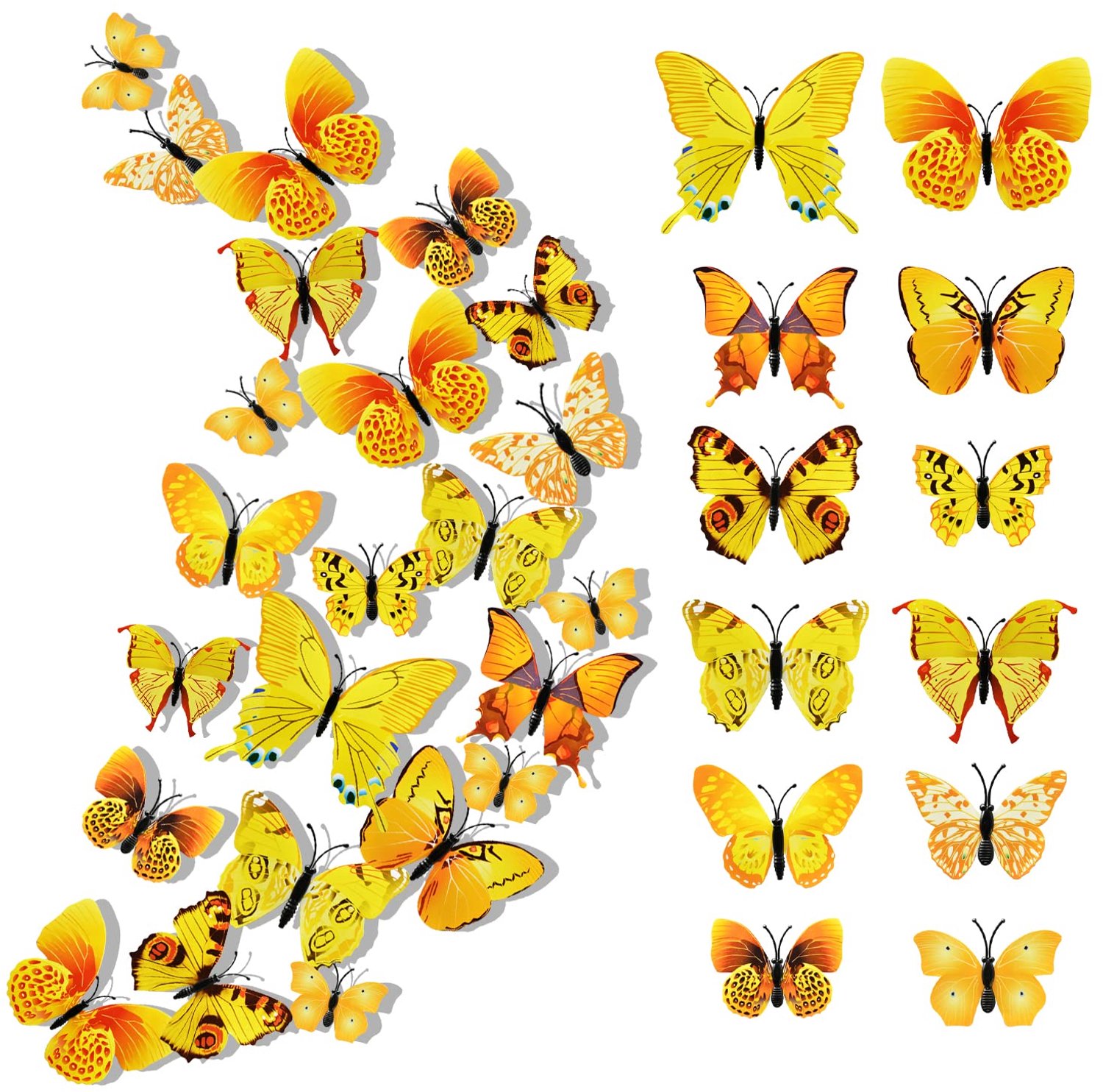 Set van 24 3D Vlinders voor Wanddecoratie