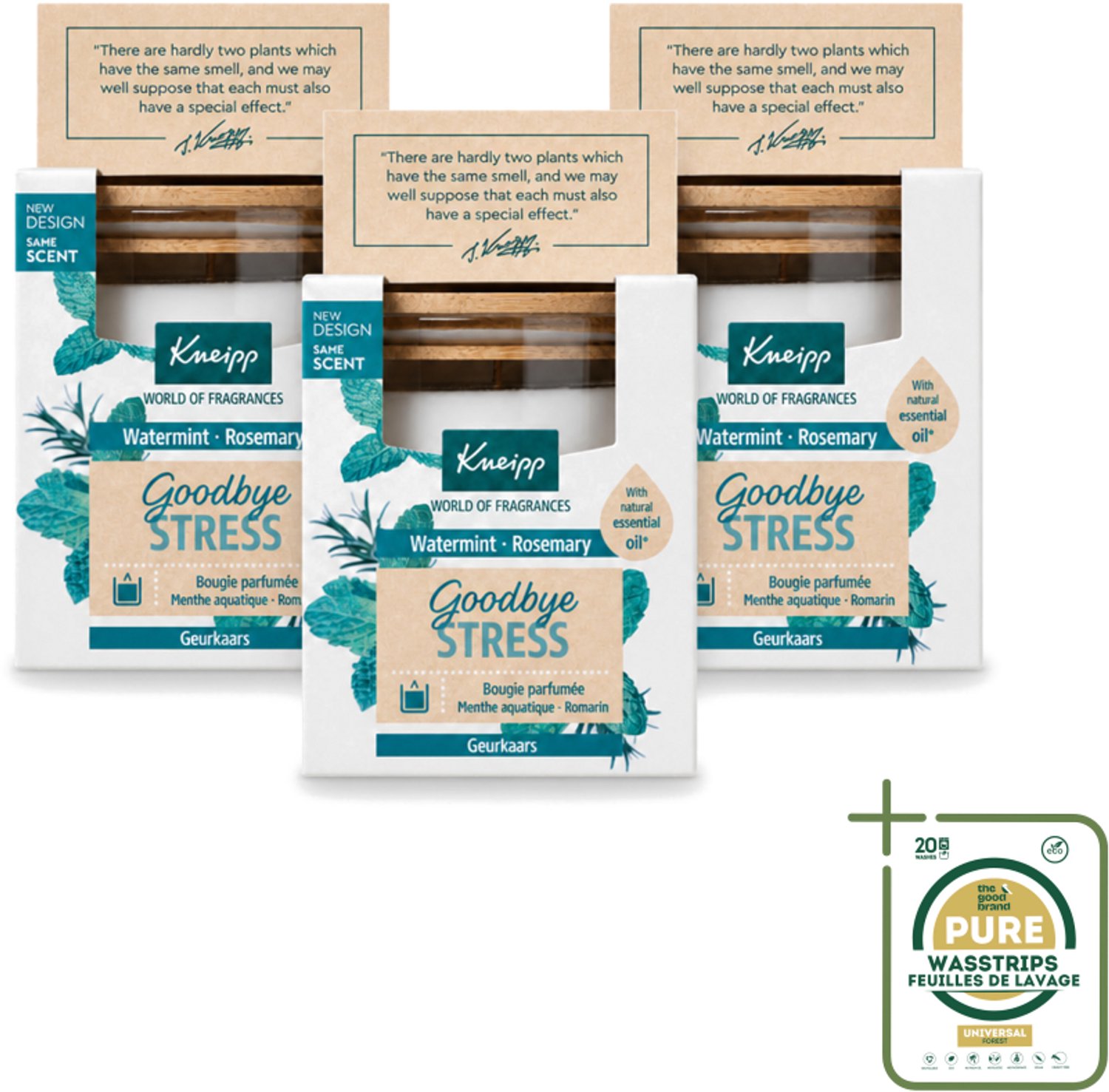 3 x Kneipp - Geurkaars - Goodbye Stress - Watermunt & Rozemarijn - 20 branduren - Wasstrips - Geurkaars - Ontspanning - Stressverlichting - Watermunt - Rozemarijn