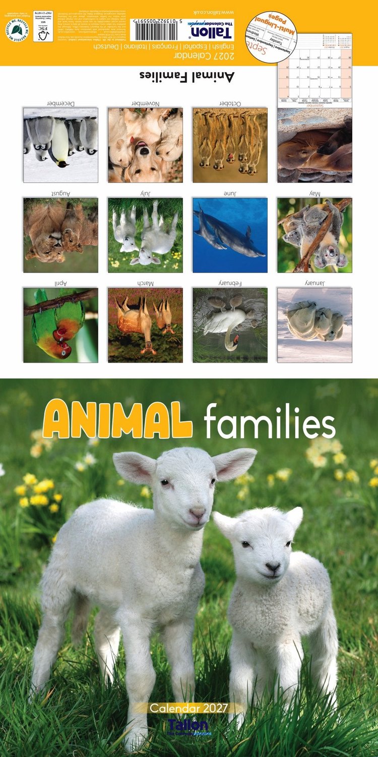 Animal Families, Cute & Fluffy Kalender 2027