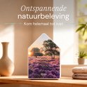 Melodiez geluidshuisje met lavendelprint op een houten plank in een ontspannen interieur.
