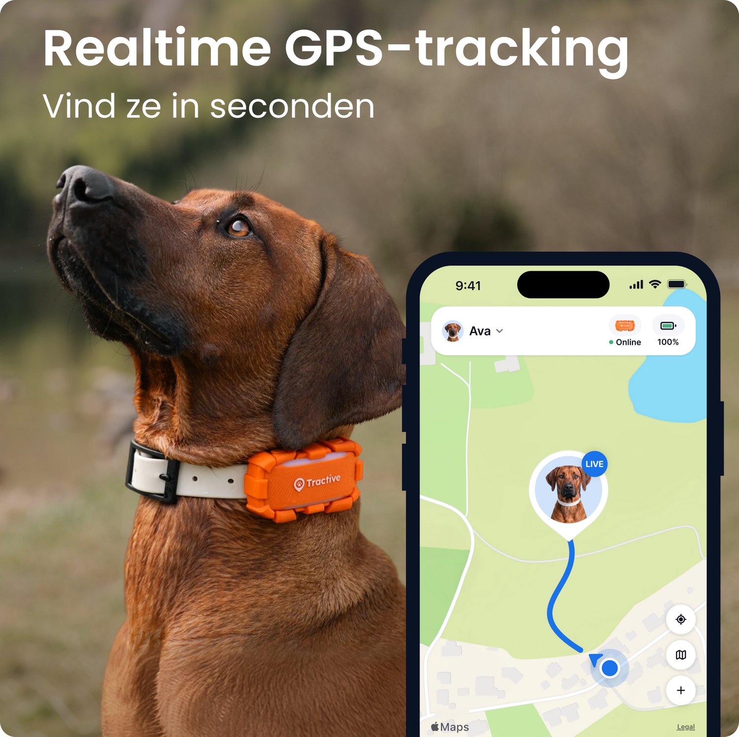 Tractive DOG 6 XL Adventure Edition – Slimme GPS-tracker voor honden met monitoring van vitale waarden & gezondheidswaarschuwingen, 6 weken batterijlevensduur – Oranje thumbnail 2