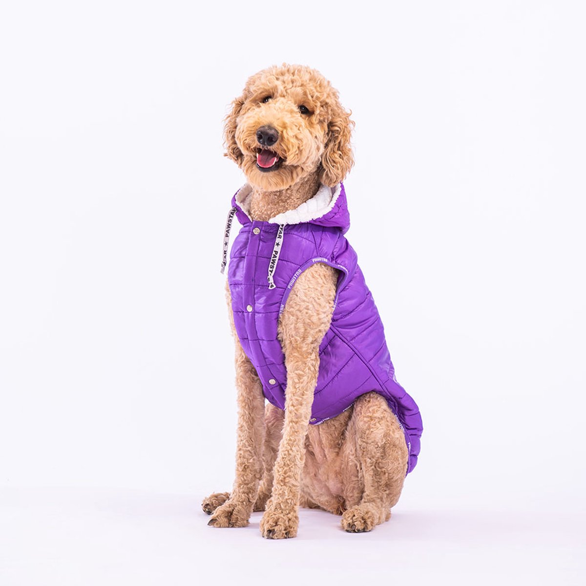 Pawstar Railway Big - Hondenbodywarmer - Paars - 6XL