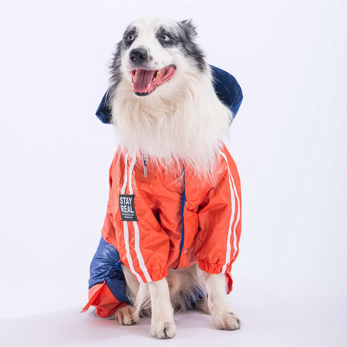 Pawstar BiColor Big - Hondenoverall - Oranje/Donkerblauw - 7XL