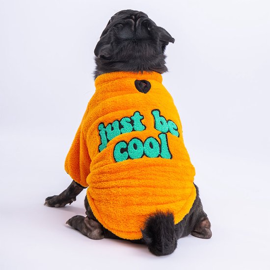 Zicht op de rug van een zwarte hond in een oranje fleece trui met "just be cool" opdruk.