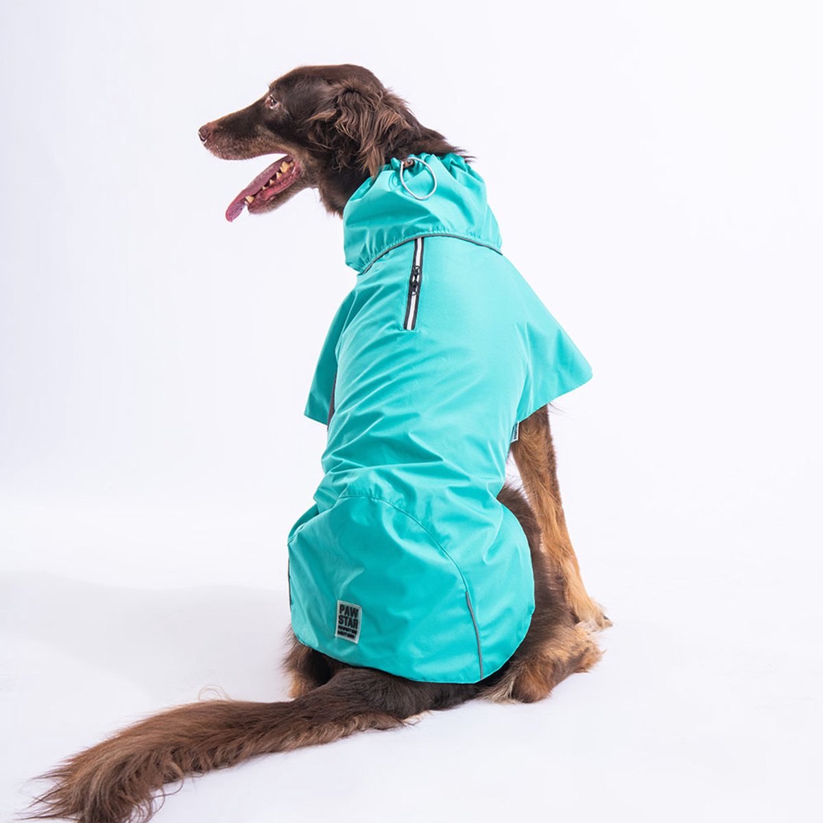 Pawstar Colombia - Hondenregenjas - Mintgroen - XS