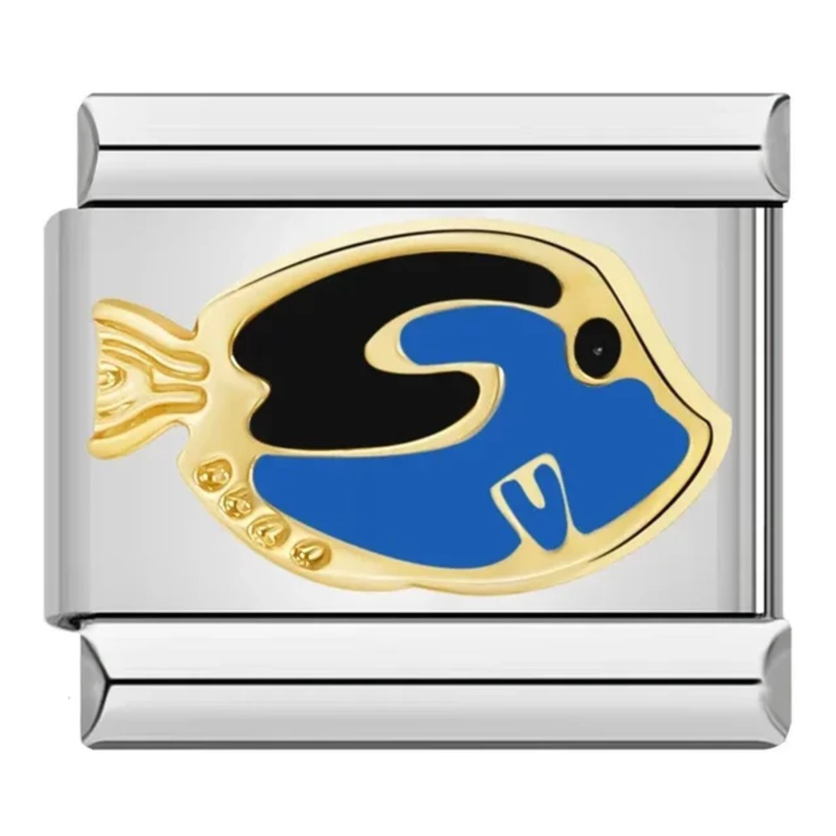 Blue Fish