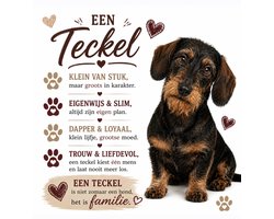 spreuktegel ruwharige teckel