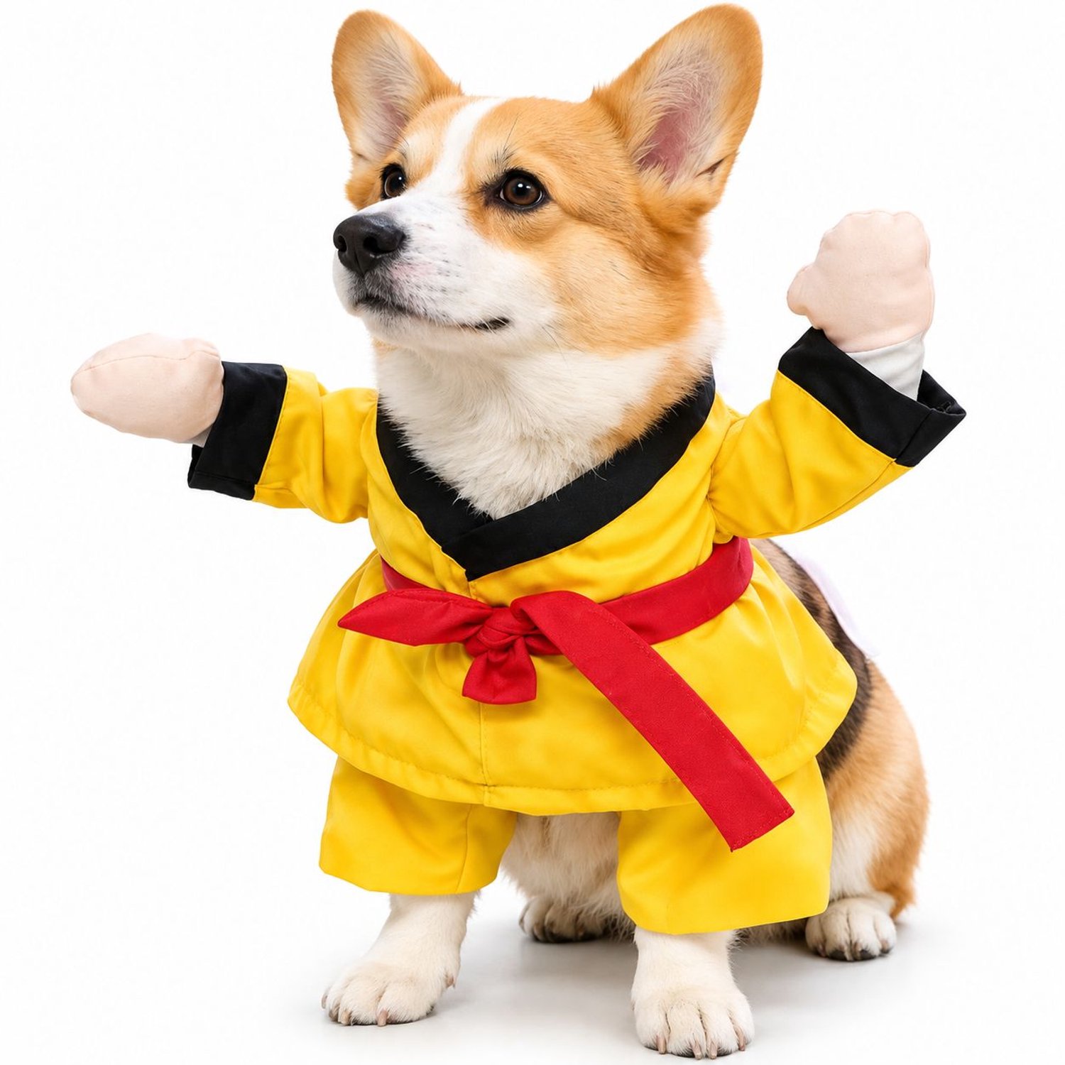 Leuk hondenkostuum in kungfu-stijl – Jumpsuit in samuraistijl (met rode sjerp); zachte cosplay-outfit voor kleine tot middelgrote honden en katten; perfect voor Halloweenfeestjes en fotoshoots (geel, maat L)