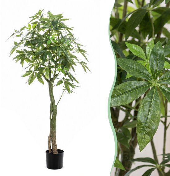 Kunstplant - Pachira Aquatica - Geldboom - 150 cm