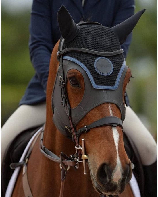 Bruin paard met een ruiter, met een grijs oornet met blauwe accenten en een zwart oornetje.