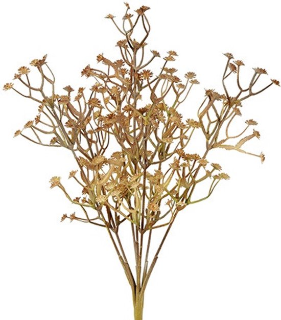 Bruine decoratieve tak met kleine bloemetjes en fijne vertakkingen.