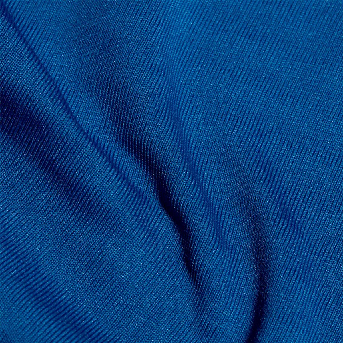 Mammut Taiss Jas Blauw S Man
