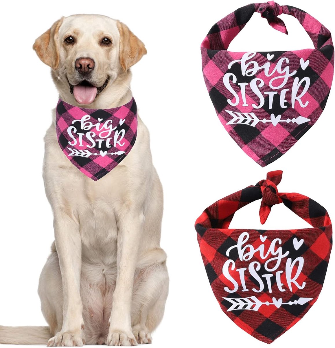 Hondenbandana - Set van 2 - Katoen - Ademend - Rood