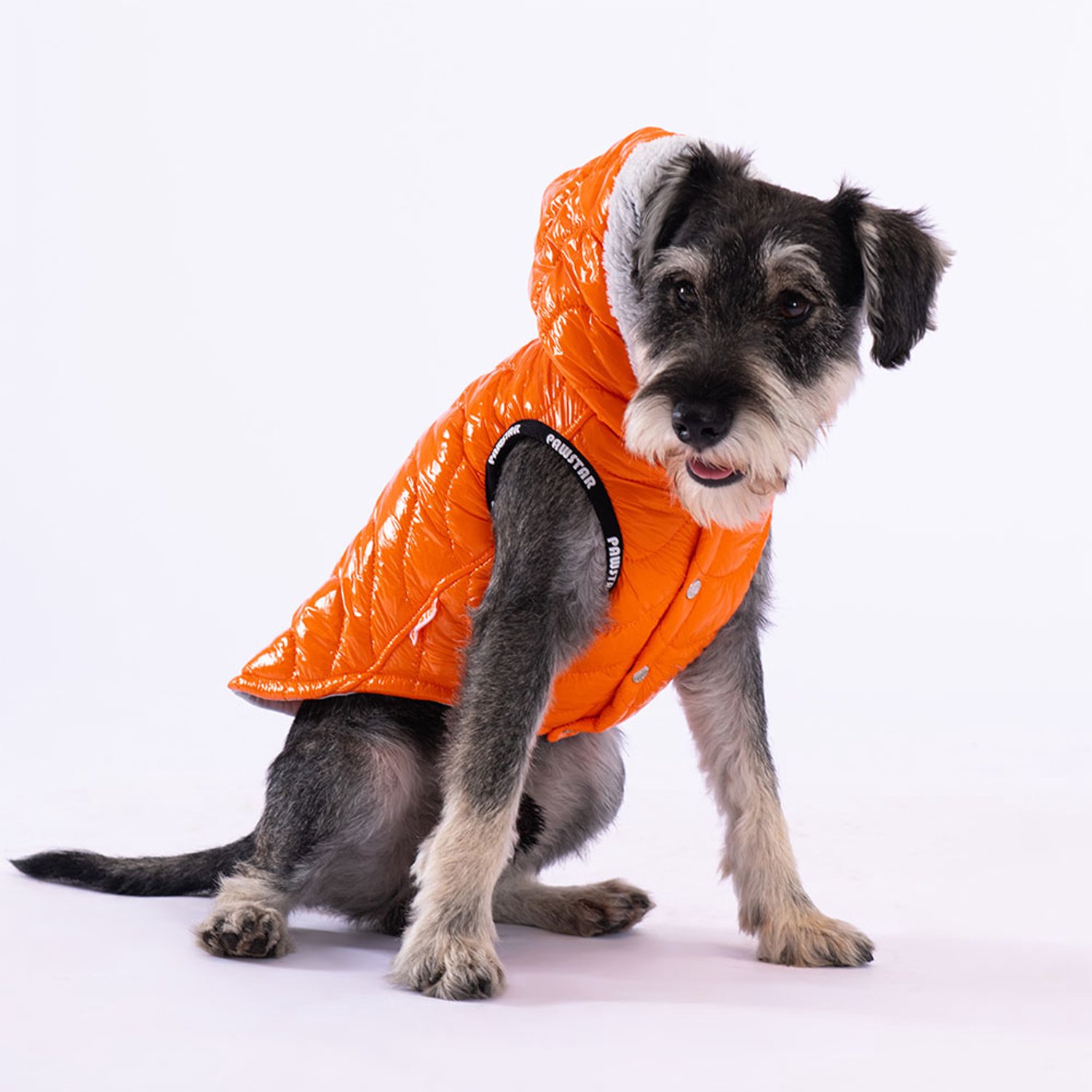 Pawstar Light Wave - Hondenbodywarmer - Oranje - L