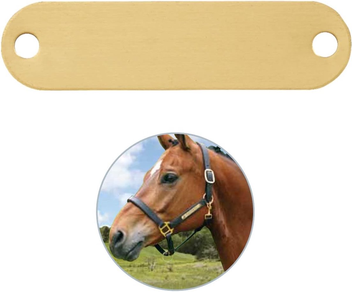 Paardenbordje Graveren - Naamplaatje Paard - Identificatie Stal - Messing Goudkleurig - 7.5 x 1.8 cm - Goud