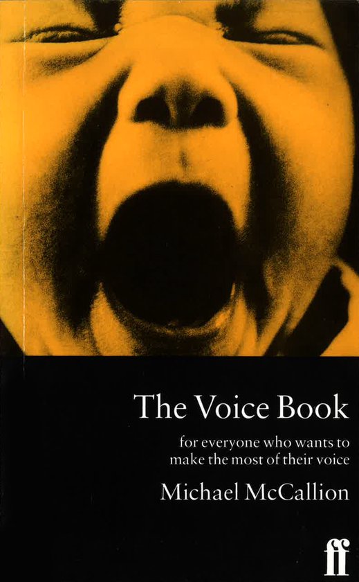 Voice Book - cover