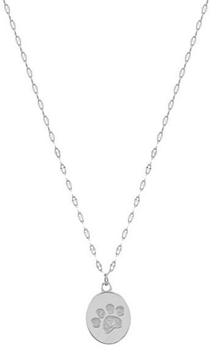 TROLI VABQJN038S STAINLESS STEEL KETTING MET POOTAFDRUK BEDELTJE 1 STUK