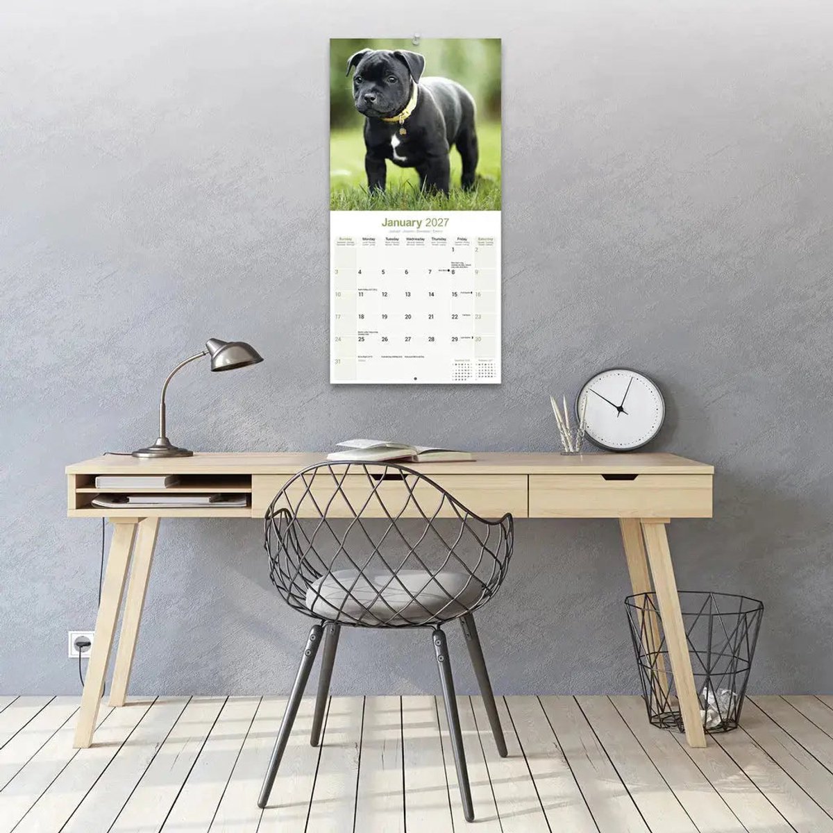 Staffordshire Bull Terrier Kalender 2027