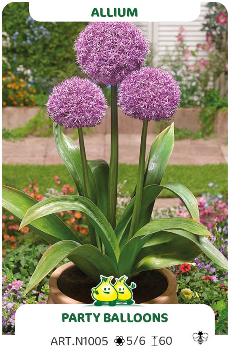 3 Bollen Allium Party Balloons maat 18/+