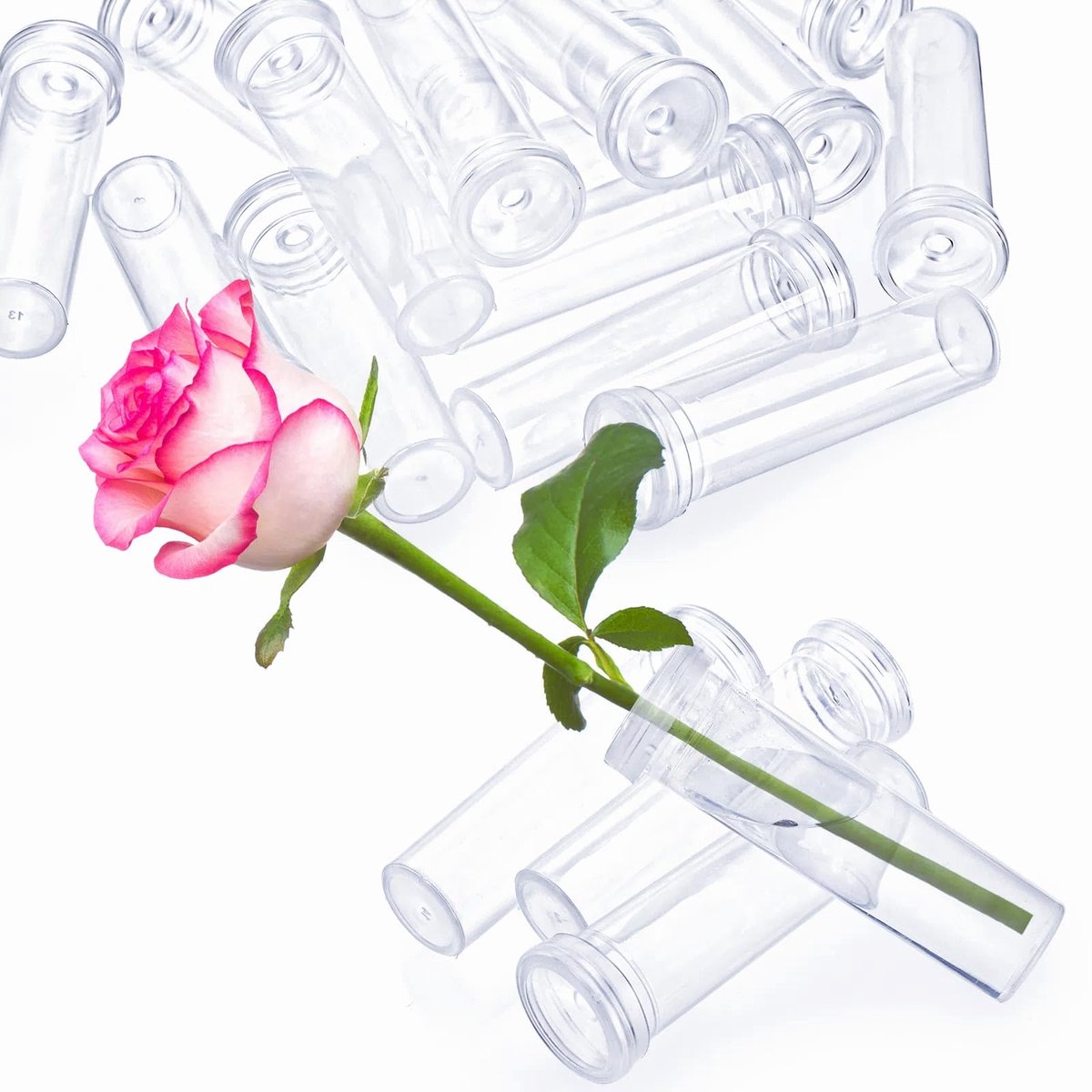 Dailygoods- Bloemenwaterbuizen 50 stuks - 10 cm Bloemstengelhouder - 60 ml Capaciteit - Plastic Plantenbuizen - Rubberen Doppen - Geschikt voor Verse Bloemstukken - Bloemenwaterflesjes