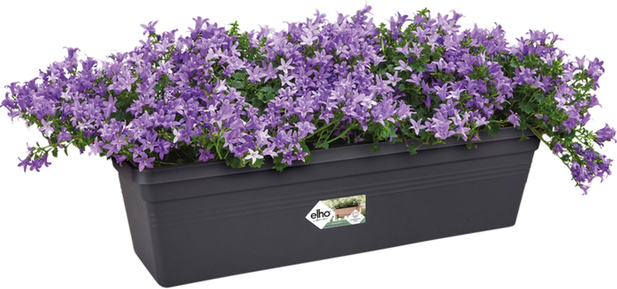 Elho Green Basics Balcony Planter 60 - For Outdoor Balcony
