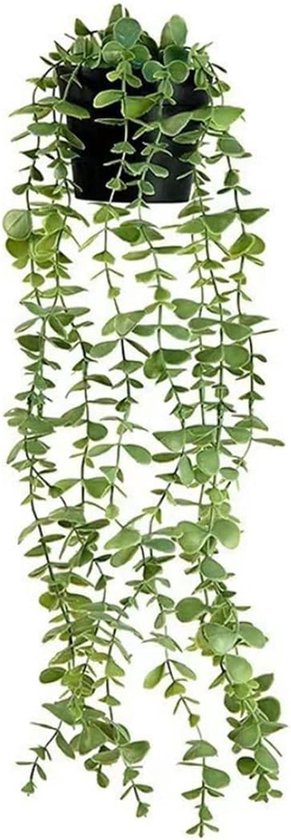 Une plante artificielle retombante aux feuilles ovales vertes avec des bords blancs, dans un pot noir.