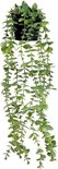 Une plante artificielle retombante aux feuilles ovales vertes avec des bords blancs, dans un pot noir.