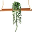 Une plante verte retombante aux feuilles sphériques dans un pot noir, suspendue à une étagère en bois.