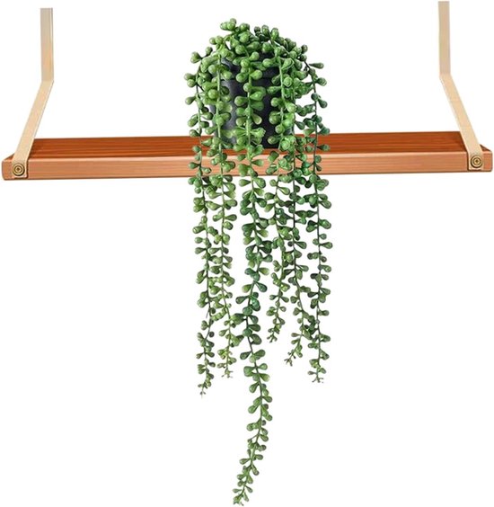 Une plante verte retombante aux feuilles sphériques dans un pot noir, suspendue à une étagère en bois.
