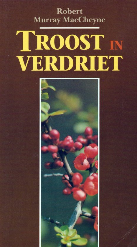 Troost In Verdriet - cover