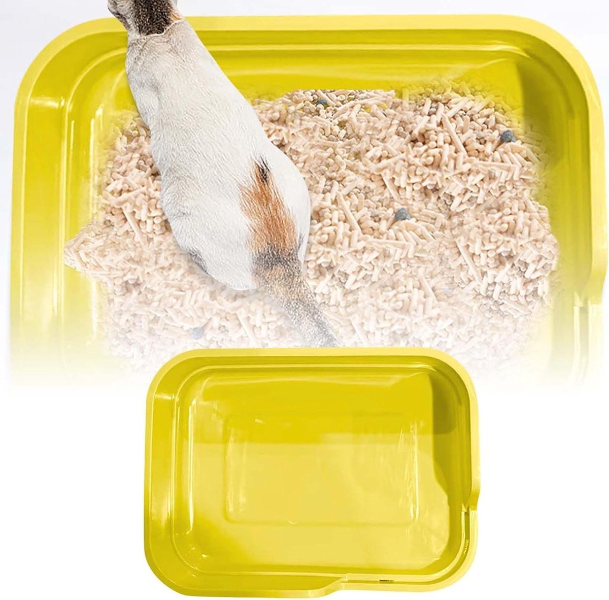 Kattenbak Vulling - Kattenbak Lade - Hygiënisch Huisdier - Hoge Zuigkracht - 50 x 36 cm - C