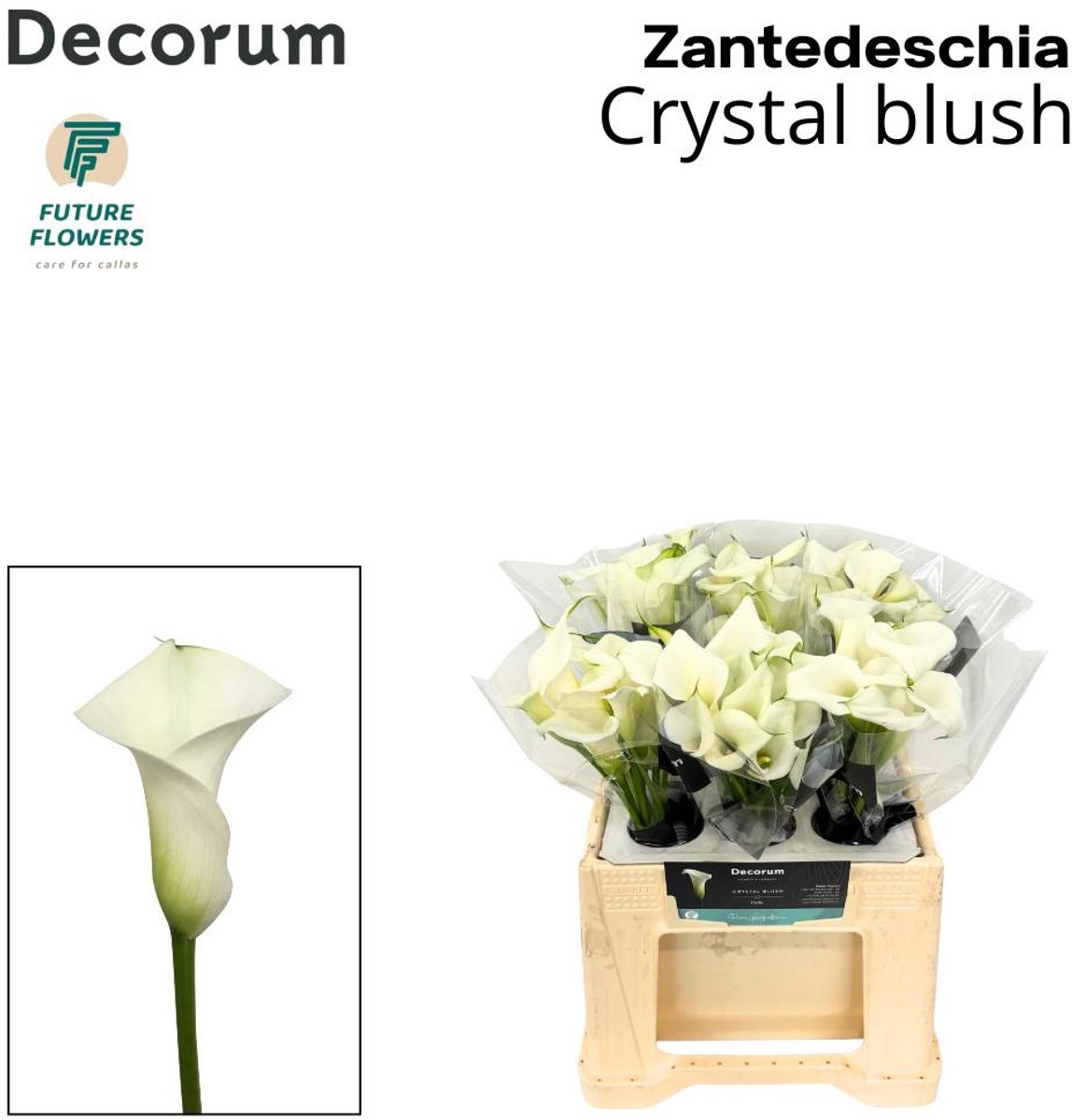 10x Zant.crystal blush 40cm