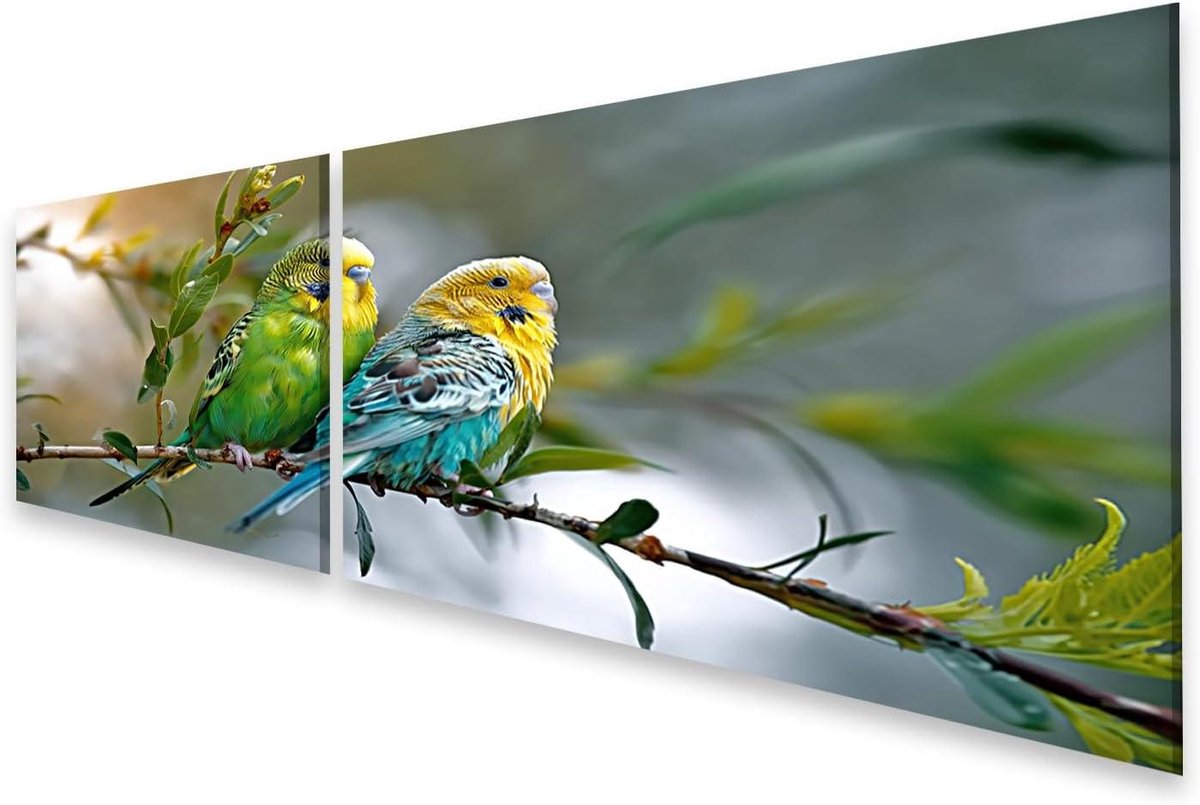 Canvas Schilderij Parkieten - Wanddecoratie Dieren - Woonkamer Decoratie - Premium Kwaliteit Canvas - 160x40 cm 2-delig - Levendig