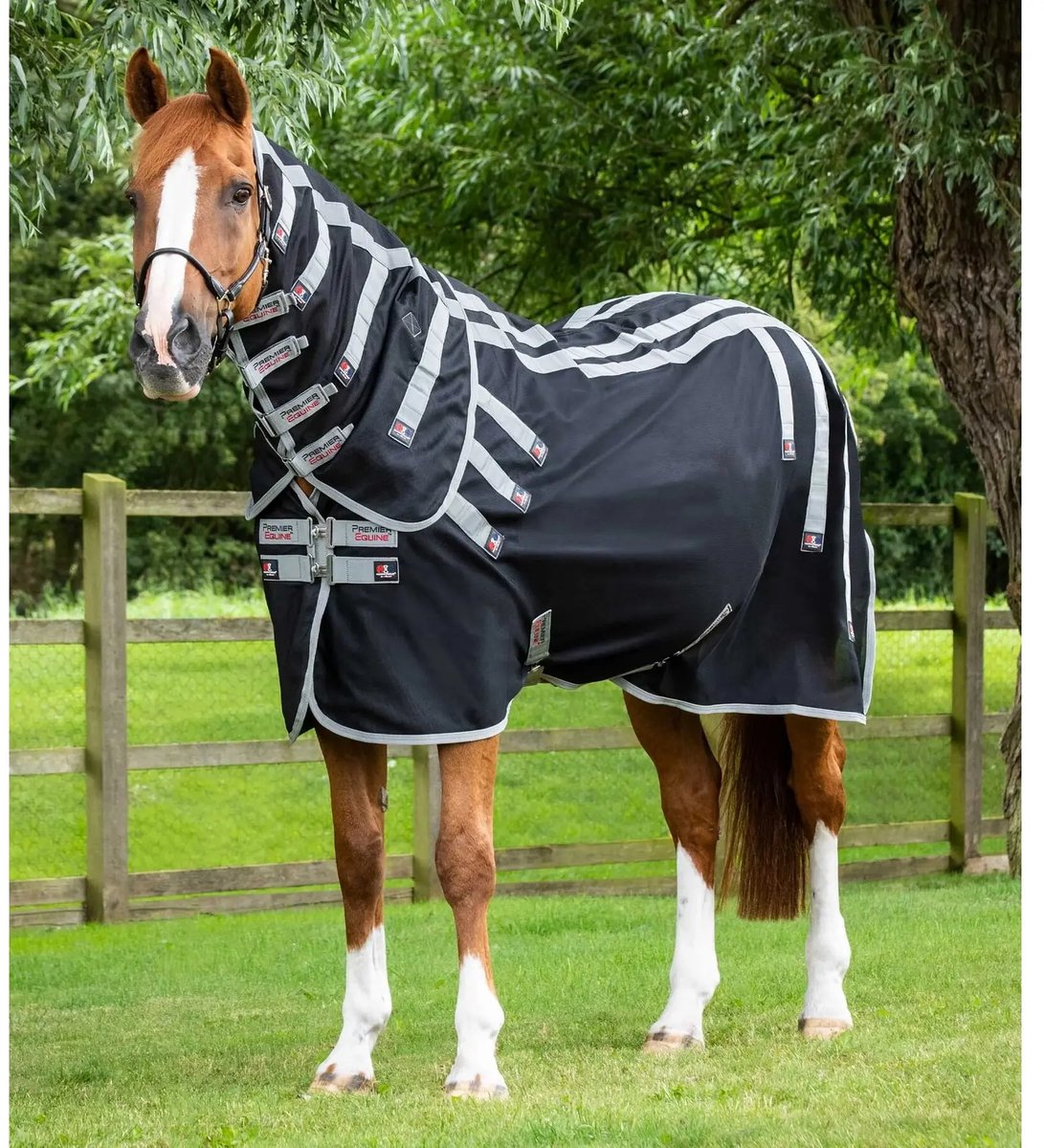 Magnetische paardendeken