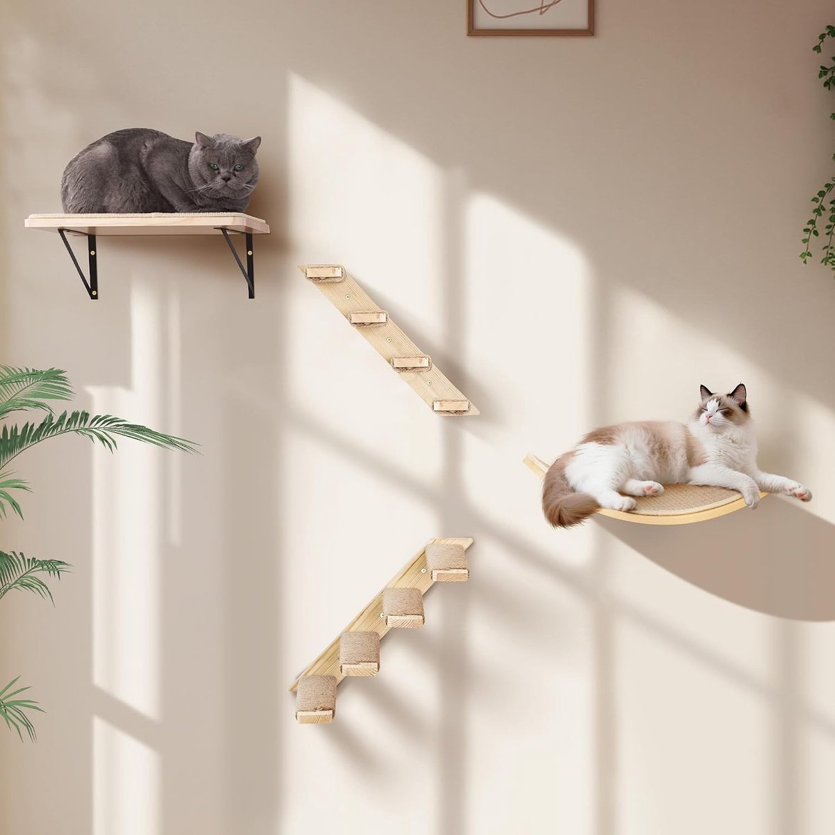 Kattenklimwand - Hout - Wandgemonteerde Klimset met Gebogen en Vierkante Platforms - Voor Actieve Katten