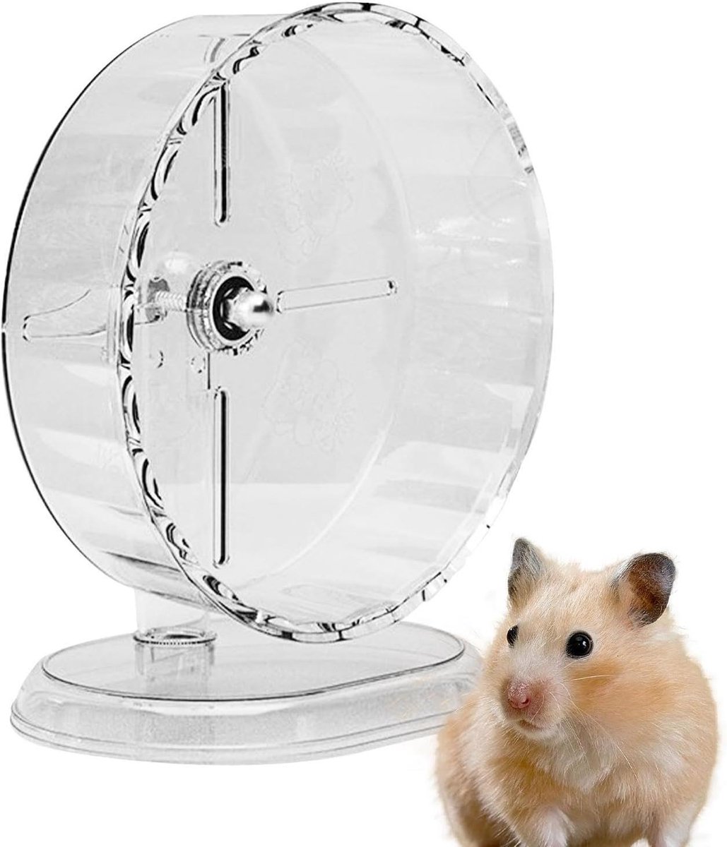 Hamster Loopwiel - Dieren Oefenwiel - Huisdier Beweging - Stil Ontwerp - 24 cm - Wit
